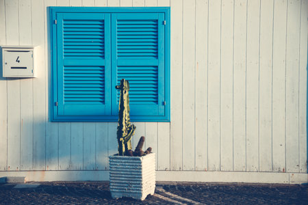 Blue door with cactus and the traditional white walls in the Procida Island, Italyの写真素材