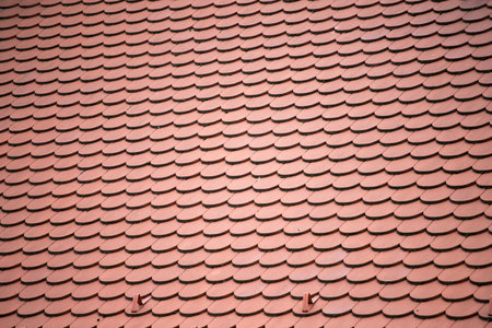 Overlapping rows of yellow ceramic roofing tiles covering residential building roof.の写真素材