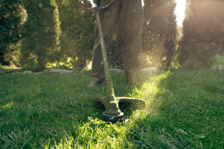 Mowing the grass with a lawn mower. Garden work concept background.の写真素材