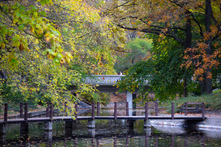 Beautiful romantic alley in a park with colorful trees and sunlight. Autumn natural backgroundの写真素材