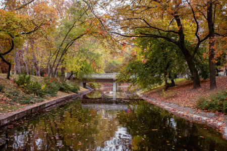 Beautiful romantic alley in a park with colorful trees and sunlight. Autumn natural backgroundの写真素材