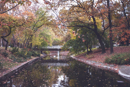 Beautiful romantic alley in a park with colorful trees and sunlight. Autumn natural backgroundの写真素材