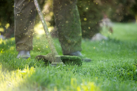Mowing the grass with a lawn mower. Garden work concept background.の写真素材