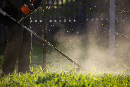 Mowing the grass with a lawn mower. Garden work concept background.の写真素材