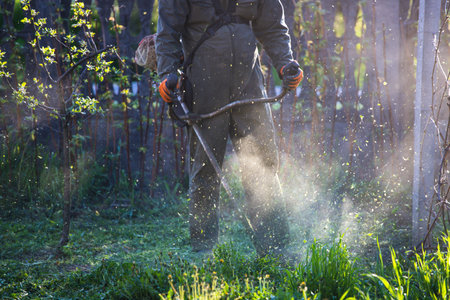 Mowing the grass with a lawn mower. Garden work concept background.の写真素材