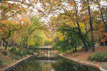 Beautiful romantic alley in a park with colorful trees and sunlight. Autumn natural backgroundの写真素材
