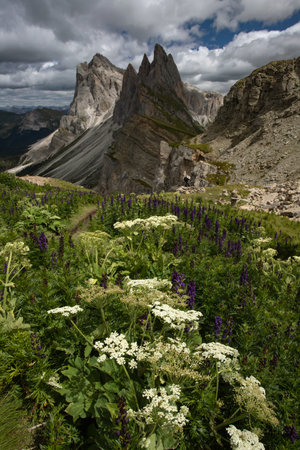 Amazing landscape of the Dolomites Alps. Odle mountain range, Seceda peak in Dolomites Alps, South Tyrol, Italy, Europe.の写真素材