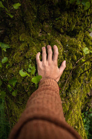 White man hand resting over a mossy tree trunk.の写真素材