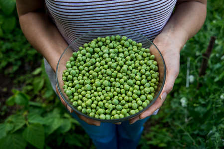 White woman holding a crystal bowl full of green peas in a vegetable garden.の写真素材