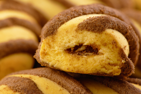 biscuit cookies with chocolate stripesの写真素材