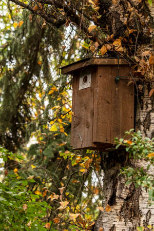 Old Wooden Brown Bird House