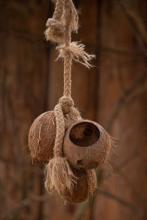 Feeder for birds in winterの写真素材