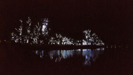 Trees adorned with Christmas lights reflected on a lake.の写真素材
