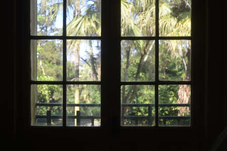Window view from inside out to woodsの写真素材