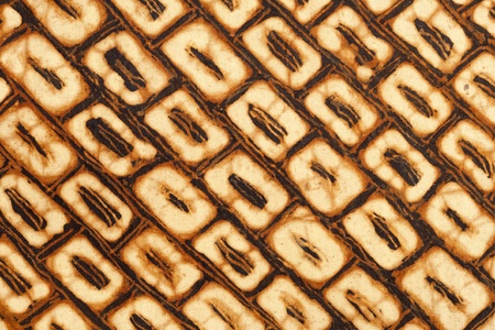 Batik designの写真素材