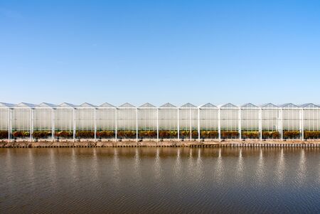 Greenhouseのeditorial素材