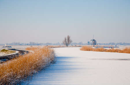 Winter landscape の写真素材