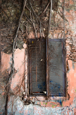 Old shutters in Kota Jakartaの写真素材