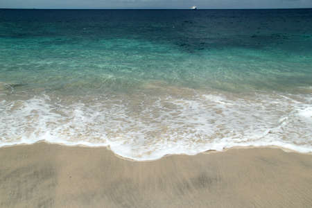 Tropical Beach