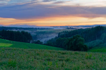 View over Hills covered by endless Forest at Sunset, fog in the valleys, green grass meadow in frontの写真素材