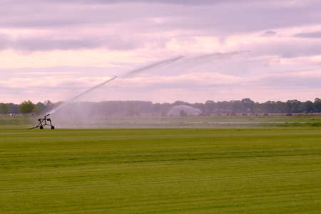 Farmers irrigate fields because of the drought, crops waiting for the rain to come. Drenthe, the Netherlands.の写真素材
