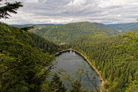 Scenic top view of mountain lake surrounded by trees, Vosges, Franceの写真素材