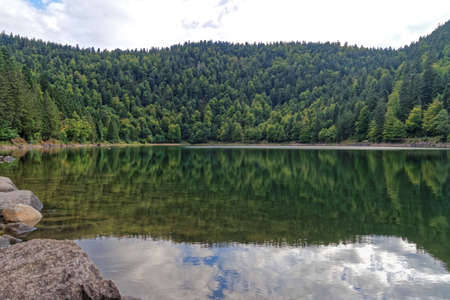 Mountain lake surrounded by trees, Vosges, Franceの写真素材