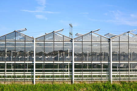 Glasshouse, greenhouse front view, exterior glass facade with open windows and high power pylons in the background. Sunny day, the Netherlandsの写真素材