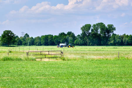 Green grassland, meadow with fences and liquid manure spreader, tractor inject liquid manure into the ground. Netherlandsの写真素材