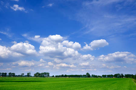 Green grass country farmland in the Netherlands with a typical Dutch cloudscape, white clouds and blue skyの写真素材