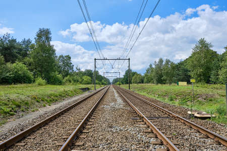 Two railway tracks with electric power cables into the distance in the middle of a green forest, the Netherlandsの写真素材