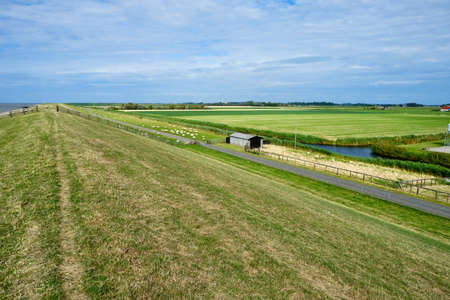 Typical dutch view of a dike with sheeps overlooking the polder with farms, green grassland and the Wadden sea. Sedyk, Friesland, Harlingen, The Netherlands.の写真素材