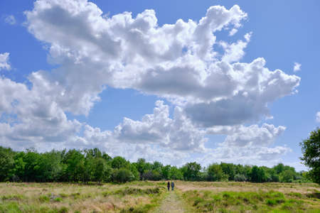 Field with two unrecognizable adult people walk in distance. Walking in nature, talking and being heard and relaxing. The Netherlands, sunny day blue sky and white clouds.の写真素材