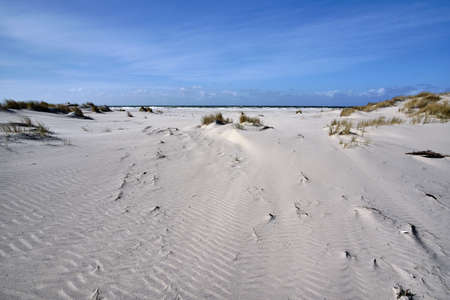 Dutch beach view, sand dunes and sea on a cold windy spring day with blue sky. Nice sand ripples texture and blowing beach grass. Ameland, Hollum 2021. the Netherlandsの写真素材