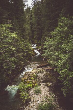 River in the Mountainsの写真素材