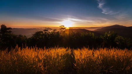 sunset の写真素材