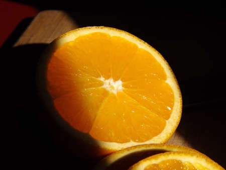 Morning Orangeの写真素材