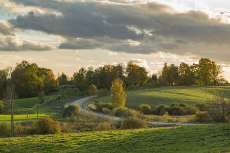 autumn coloured trees and fields in sunsetの写真素材
