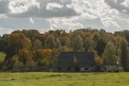 ruins with trees in autumnの写真素材