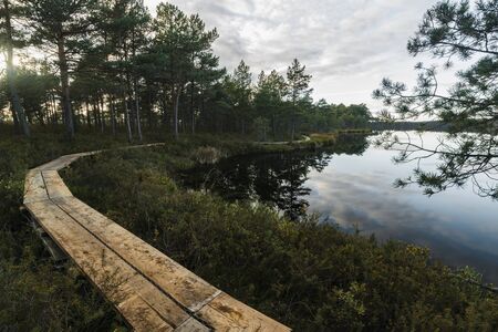 footbridge and swamp lake in sunsetの写真素材