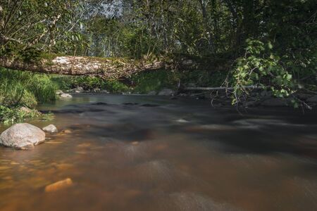 small river with riffles and big stones at sunny dayの写真素材