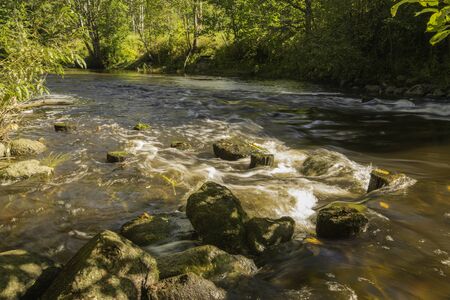 riffles of the small river at sunny dayの写真素材