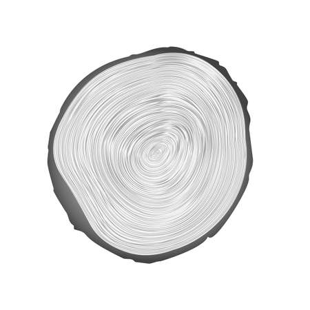 Wood texture of cutted tree trunk, close-up. In shades of gray.のイラスト素材