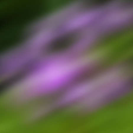 Abstract defocused colorful blurred background. Vector illustration for yoour design.のイラスト素材