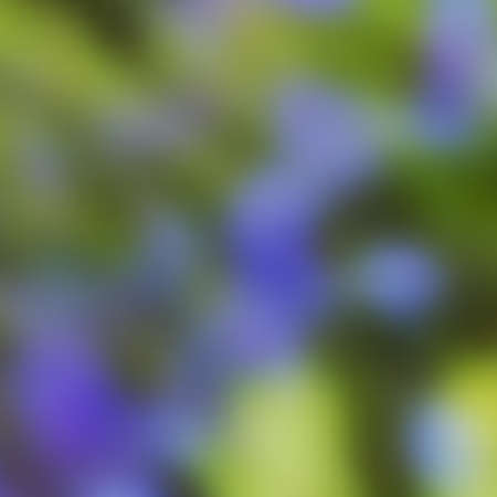 Abstract defocused colorful blurred background. Vector illustration for yoour design.のイラスト素材