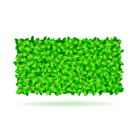 Summer background with green leaves. Vector illustration for your design and presentation.のイラスト素材