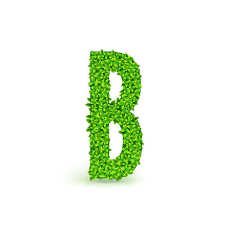 Green Leaves font. Capital letter B consisting of green leaves, vector illustration.のイラスト素材