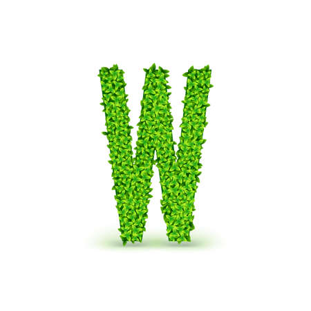 Green Leaves font. Capital letter W consisting of green leaves, vector illustration.のイラスト素材