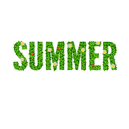 Word Summer with green leaves, flowers and ladybugs. Summer backgroundのイラスト素材