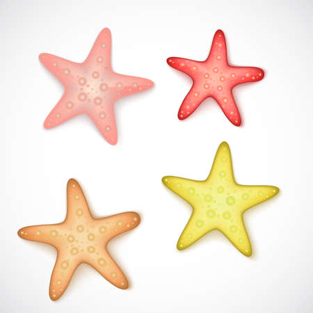 Starfishes set on white background, vector illustrationのイラスト素材